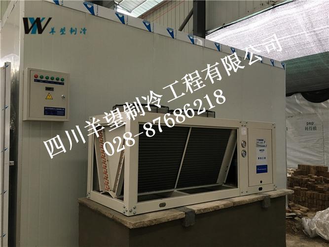 多领域冷冻保鲜设备 技术融合与高质量发展路径